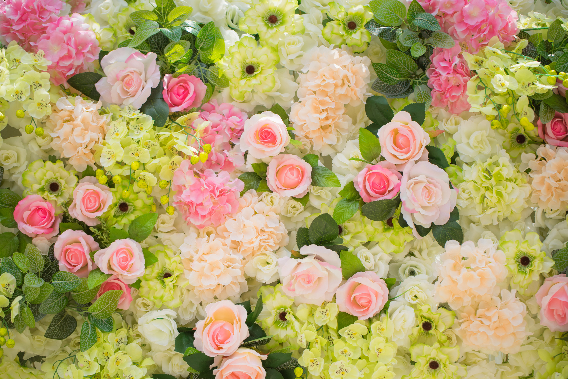 Colorful Flower Background